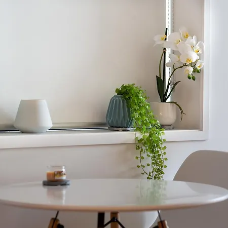 Brand New Auckland Apartment Exterior photo